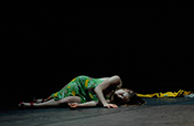 Meat_Market_1